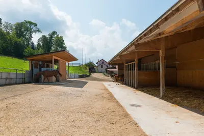 Blick über den Kiesplatz zwischen zwei Holzställen, links ein braunes Pferd vor seinem Unterstand, rechts die offenen Boxen mit Stroh, hinten ein Wohnhaus