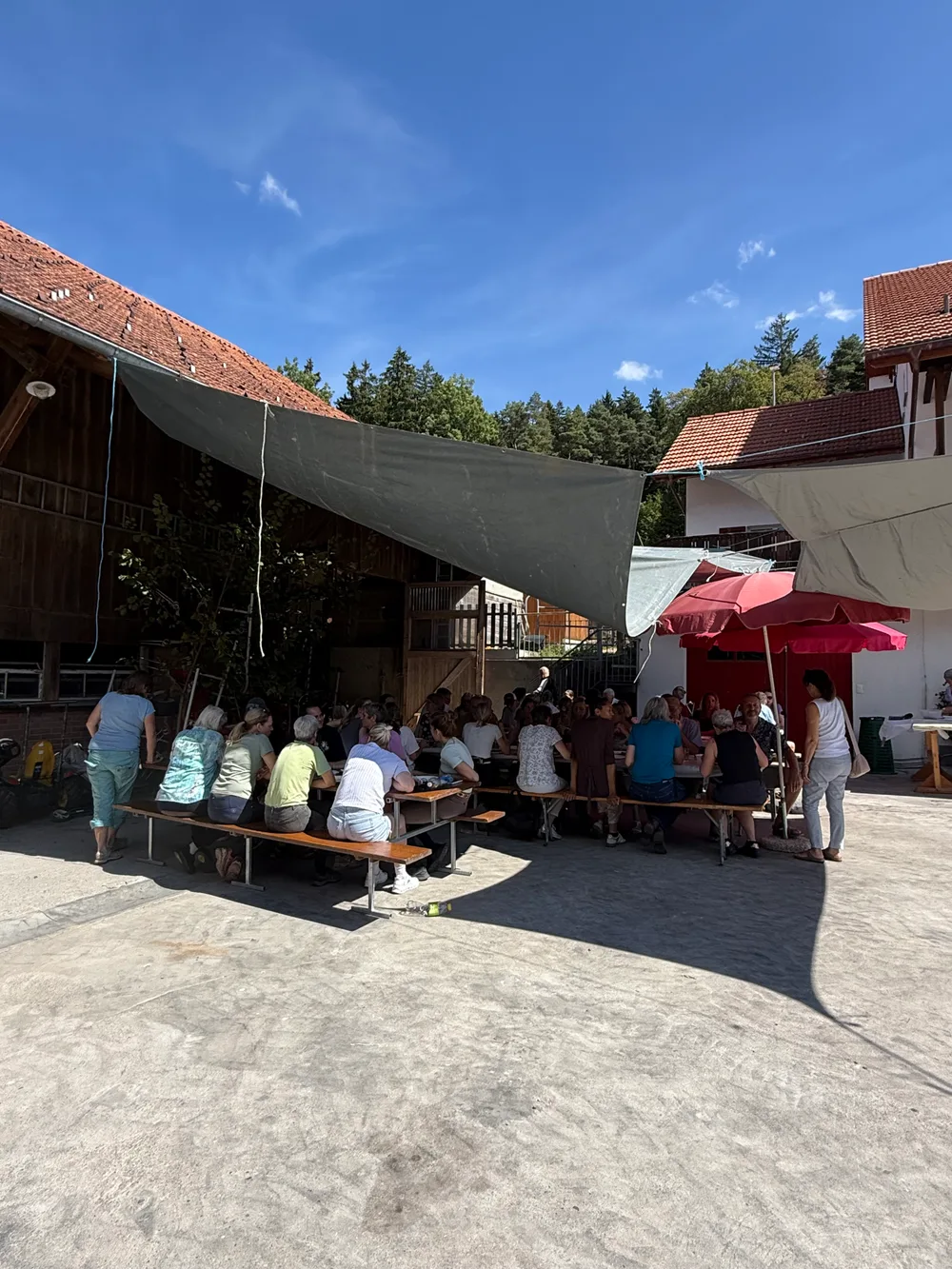 Blick über den Hof der Sennweid: Sonnensegel, Festbänke und Gäste unter blauem Himmel